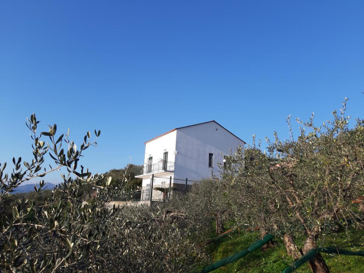Villa Sarina House Ocean View Lavagna Exterior foto