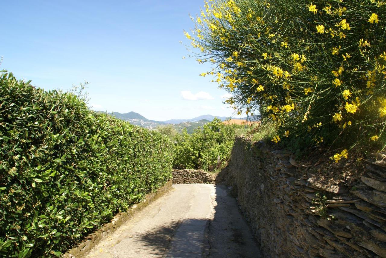Villa Sarina House Ocean View Lavagna Exterior foto